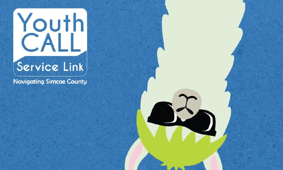 Llama graphic posing with sunglasses