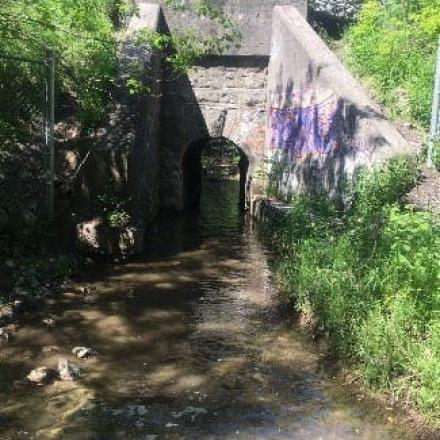 A narrow historical bridge over Carson Creek
