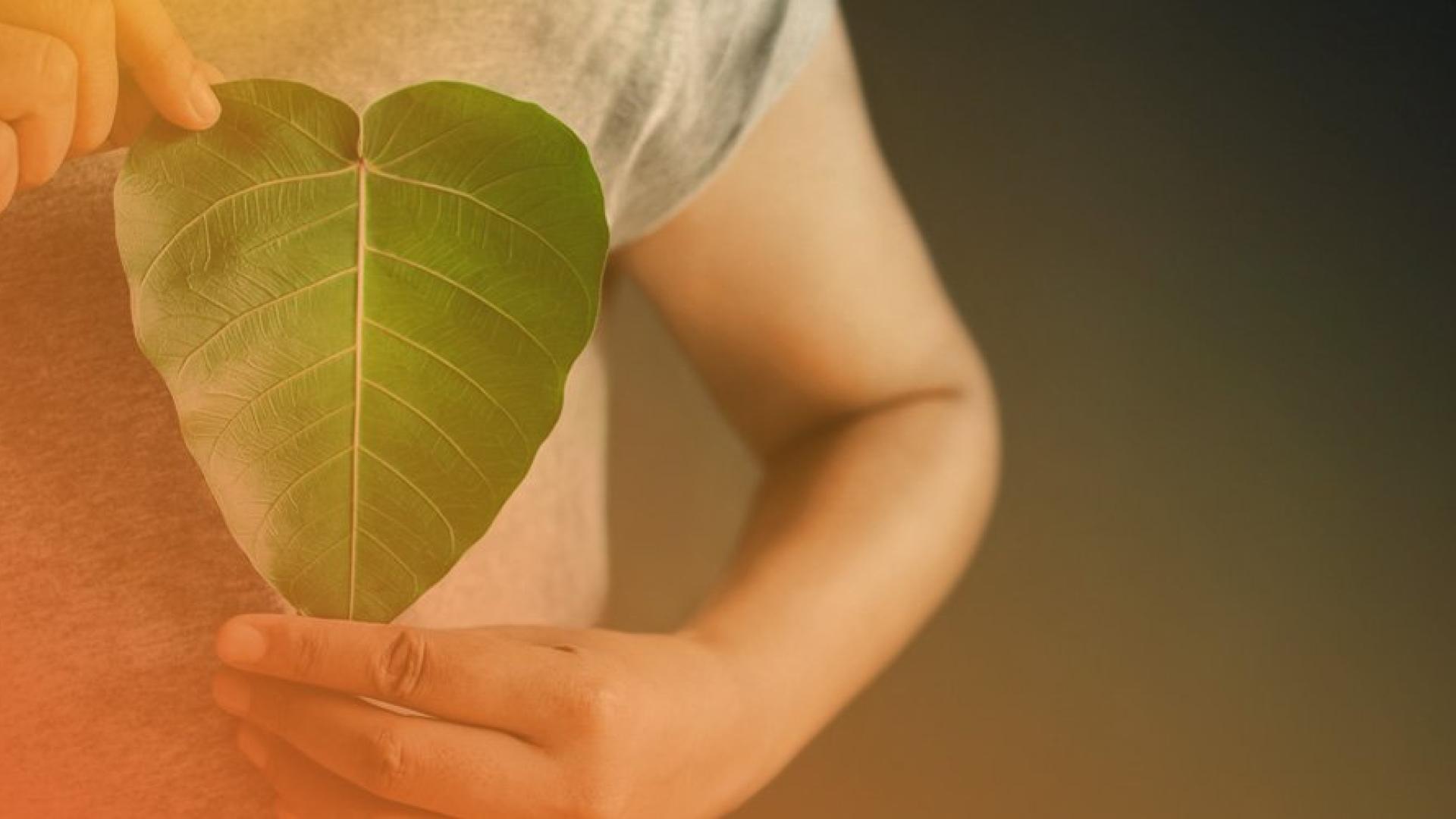 person with leaf