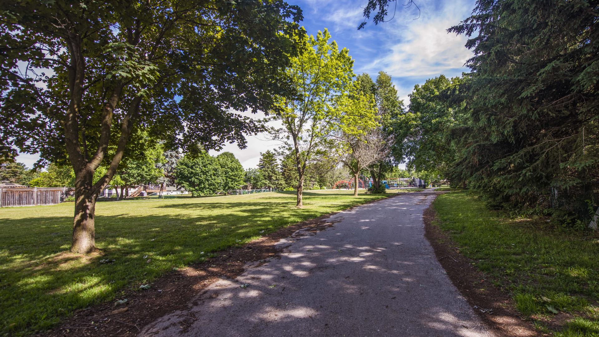 Shaded path on a sunny day lines by trees on either side and a grassy field visible toward the left