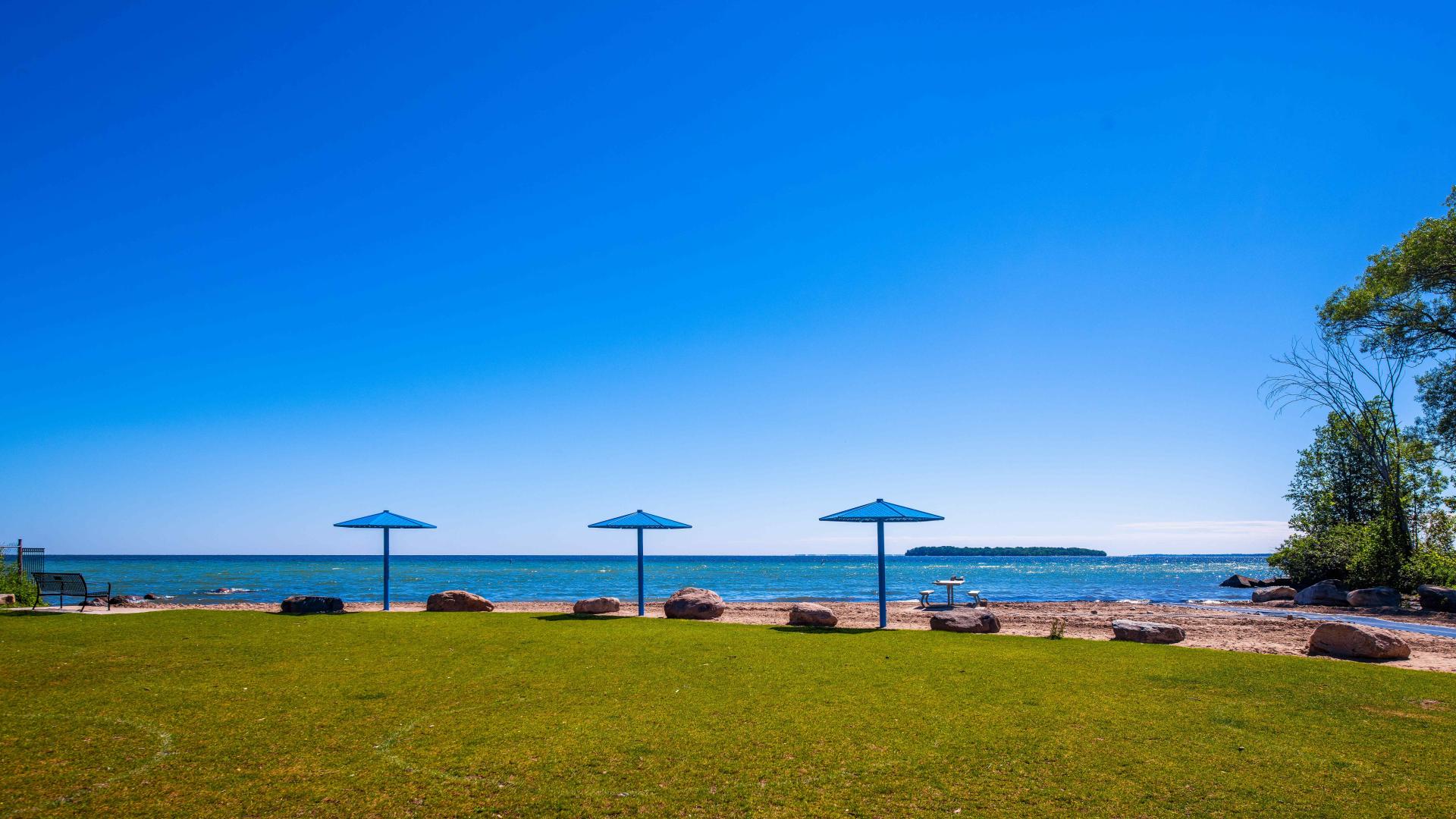 Grass area next to a beach with three beach umbrellas