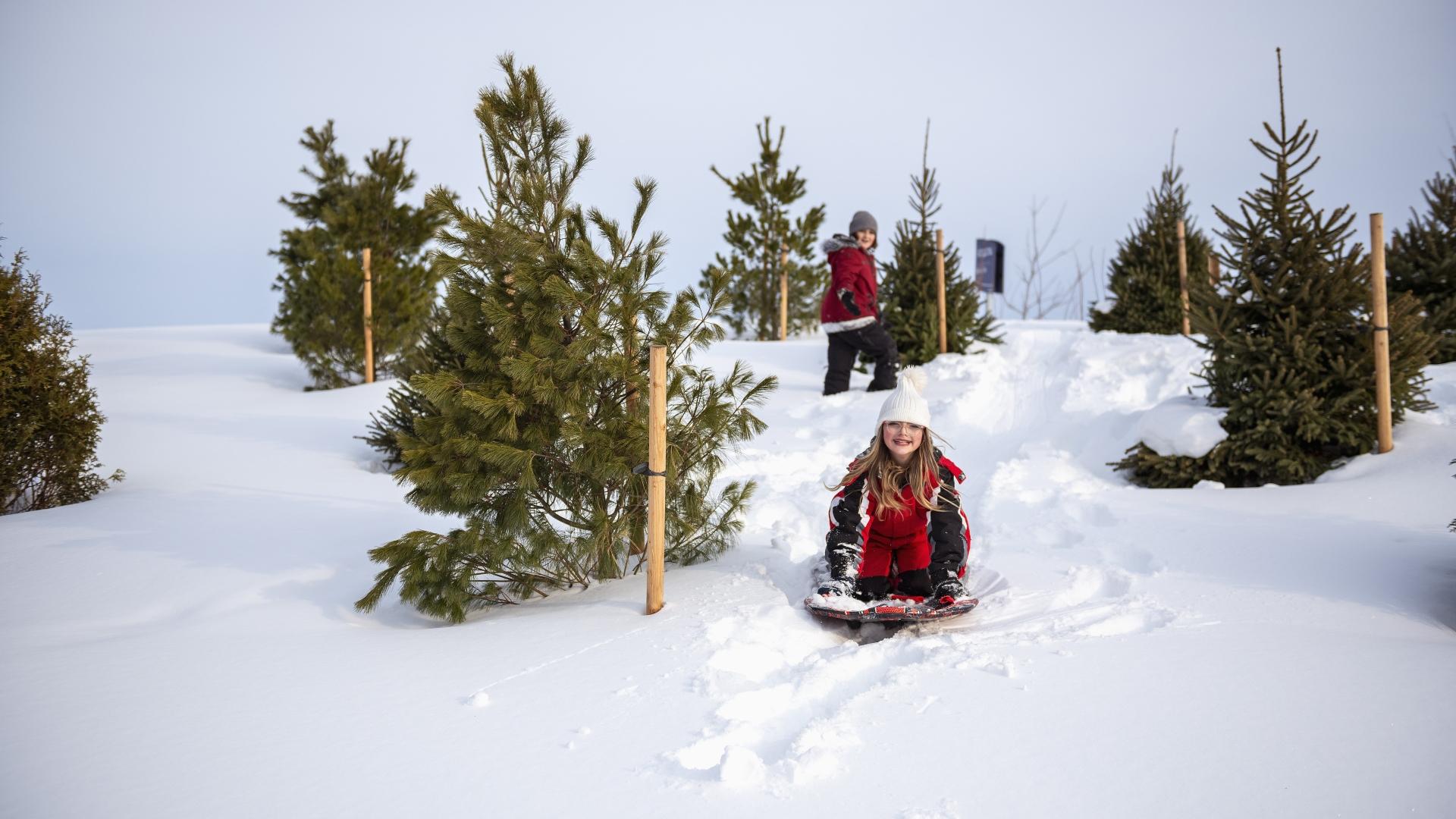 Brother and sister sliding down toboggan hill