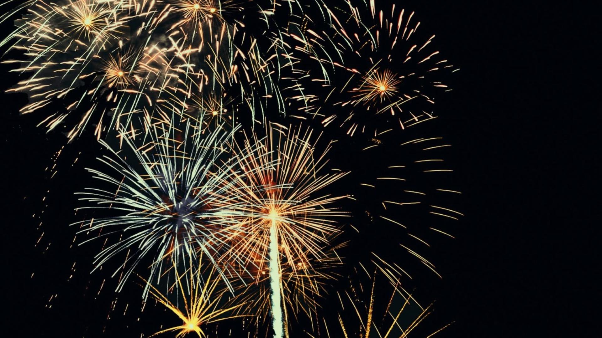 Fireworks in the night sky