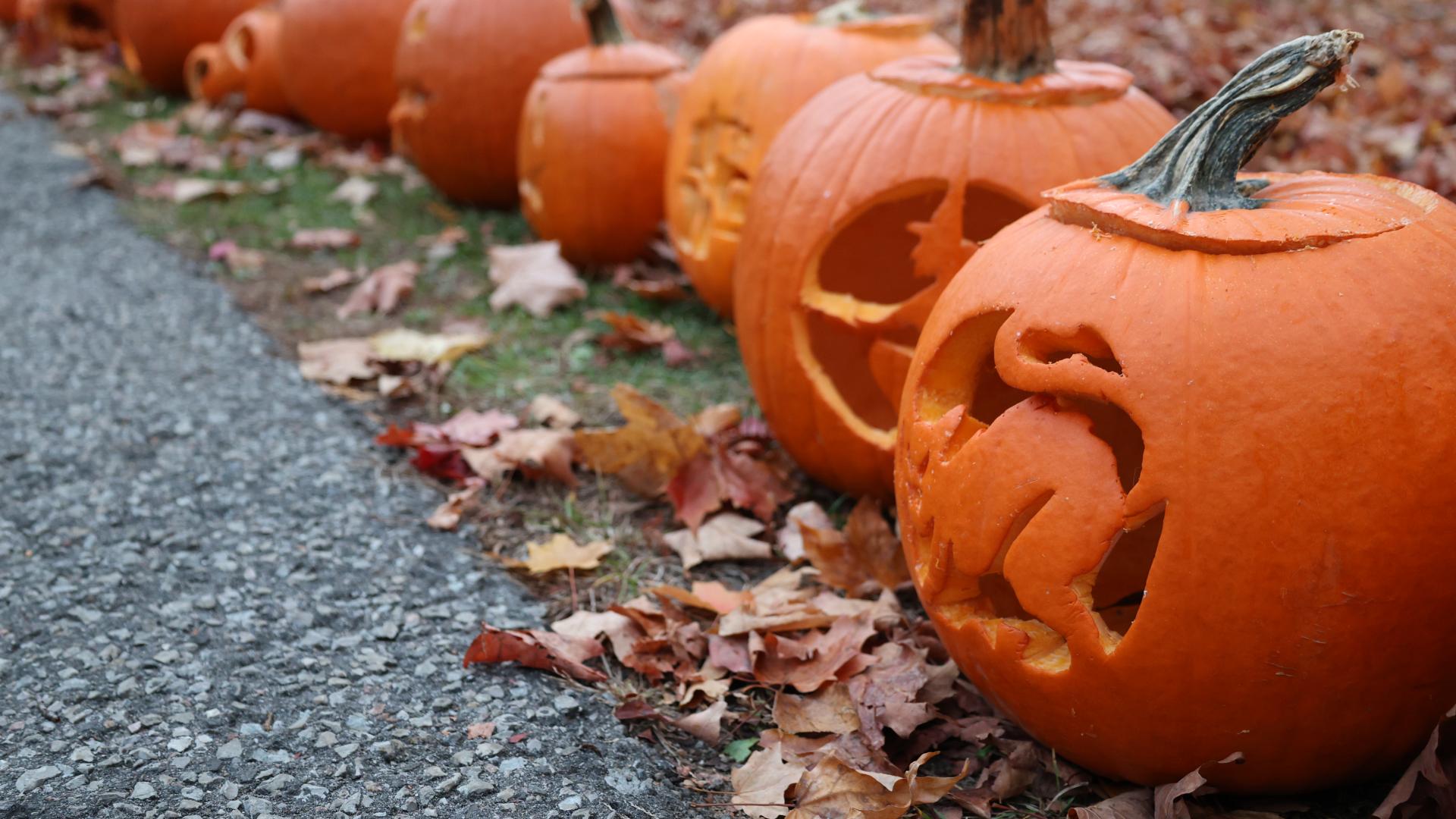 Carved Halloween pumpkins lined up along pathway