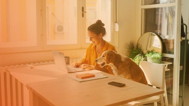 employee at home working with dog
