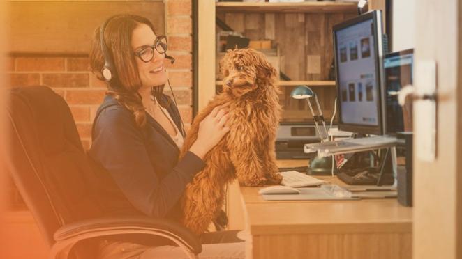 dog sitting on employee's lap in office at home