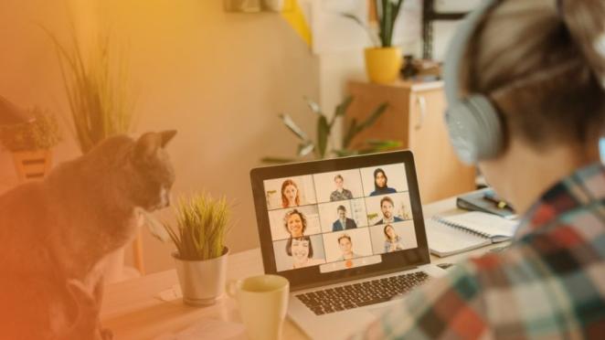 Woman working with cat on desk