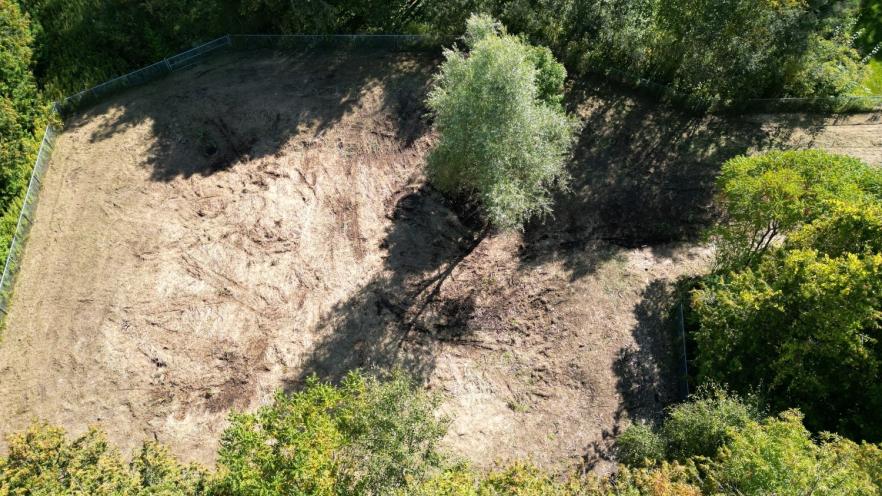 Aerial of dry pond after treatment, with phragmites removed