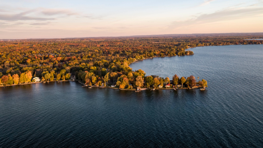 Top-down drone shot of the lakeshore with dense, forested land to one side and the lake to the other
