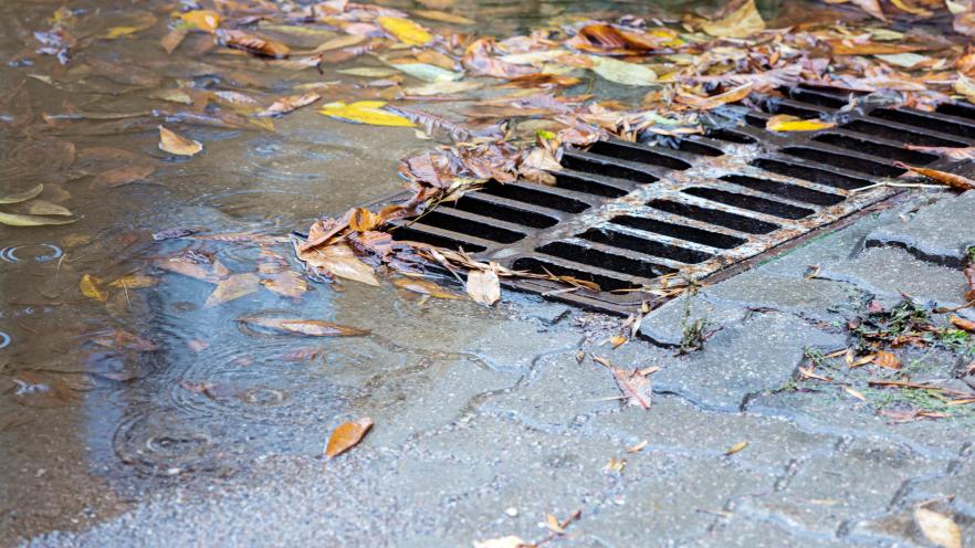 Metal sewer grate on asphalt road with fallen autumnal leaves on rainy day