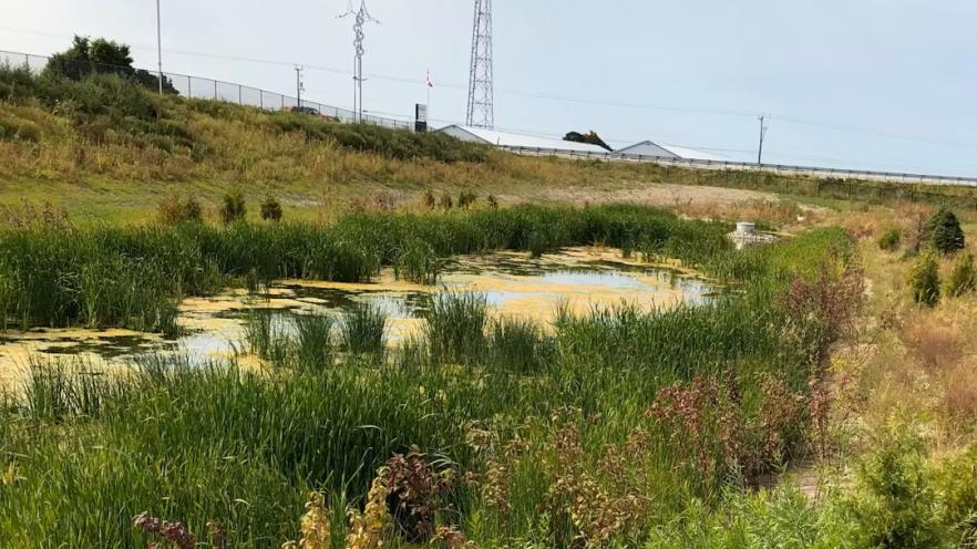 Stormwater pond beside roadway