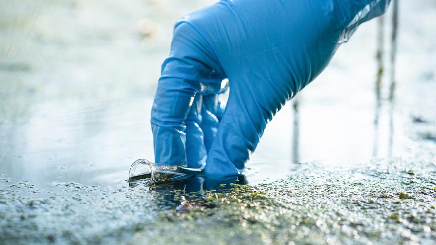 Person taking sample of lake water