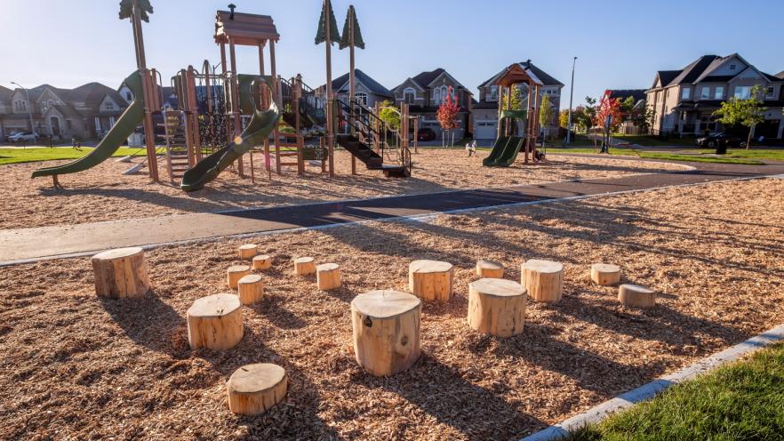 Logs at park made for jumping between