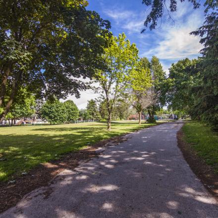Shaded path on a sunny day lines by trees on either side and a grassy field visible toward the left