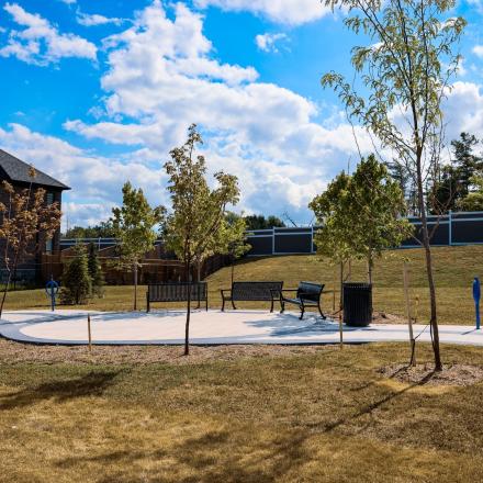 Paved path through McNeil Park with small trees and benches on either side