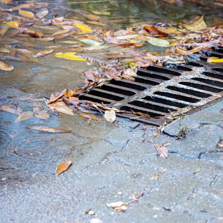 Metal sewer grate on asphalt road with fallen autumnal leaves on rainy day