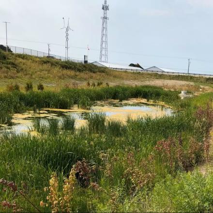 Stormwater pond beside roadway