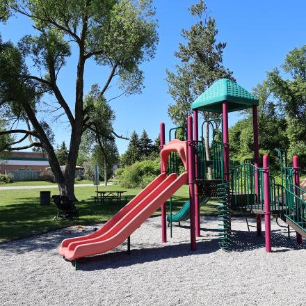 Colourful playground equipment with trees